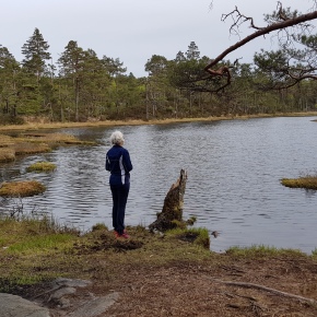 Årets første fellestur går til Hamrevann i Kristiansand